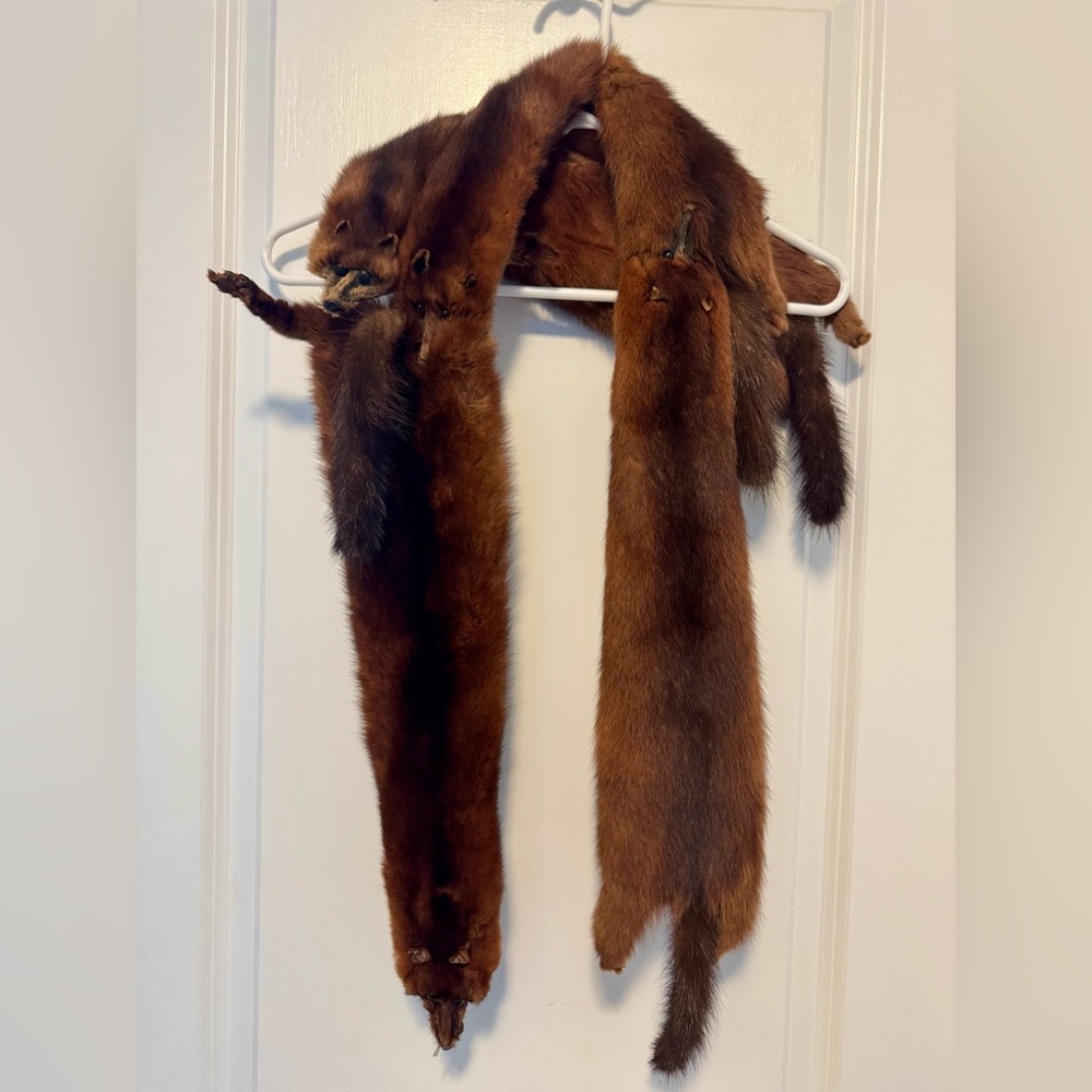 Vintage Red Fox Stole